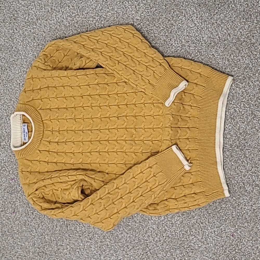 Mustard Textured Sweater (Aelfric Eden)